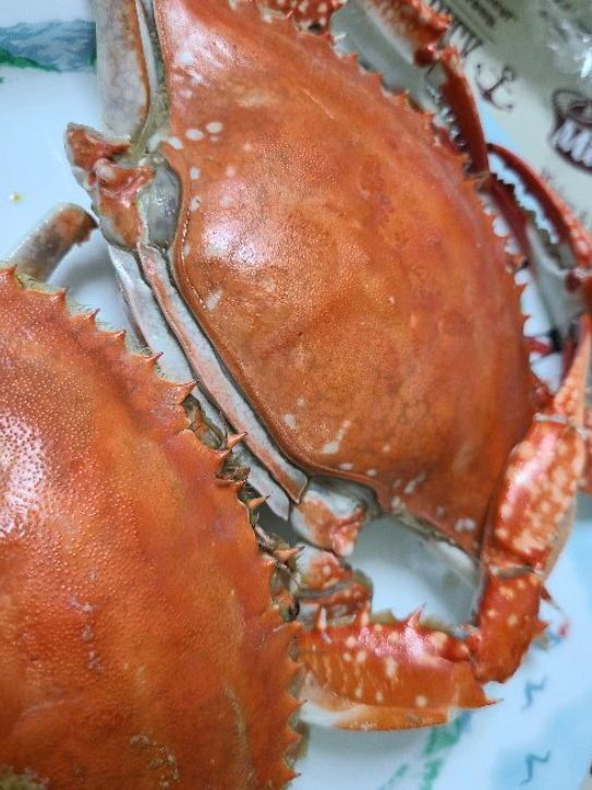 大蟹就是造