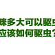 猫咪多大可以驱虫？应该如何驱虫？