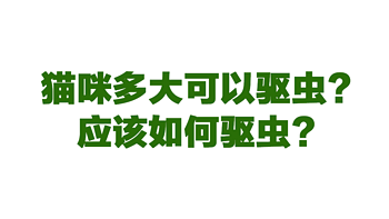 猫咪多大可以驱虫？应该如何驱虫？