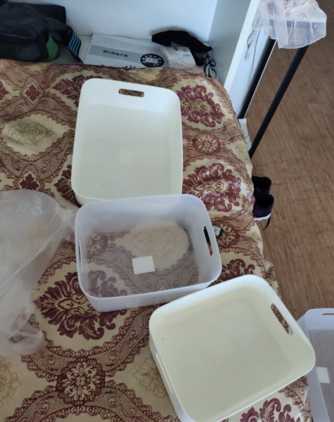 清野の木收纳用品