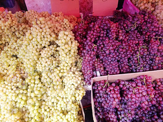 中秋节葡萄就吃新疆的