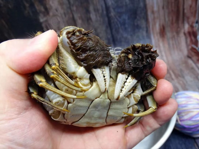 醉卧阳澄海鲜水产