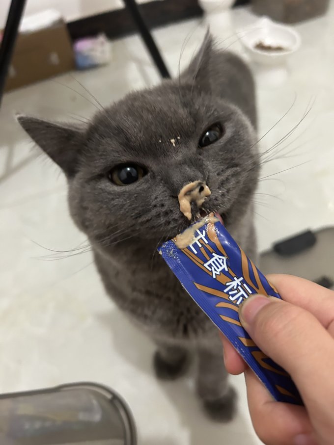 蓝氏猫咪干粮