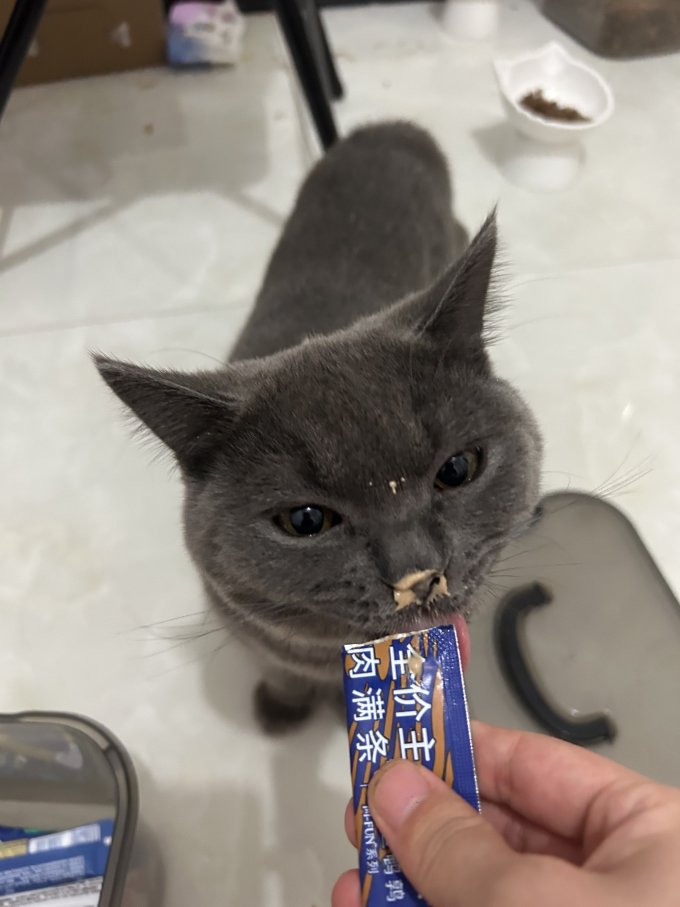 蓝氏猫咪干粮