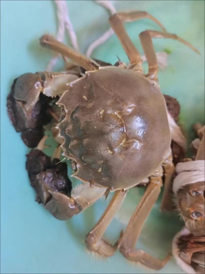 海鲜水产