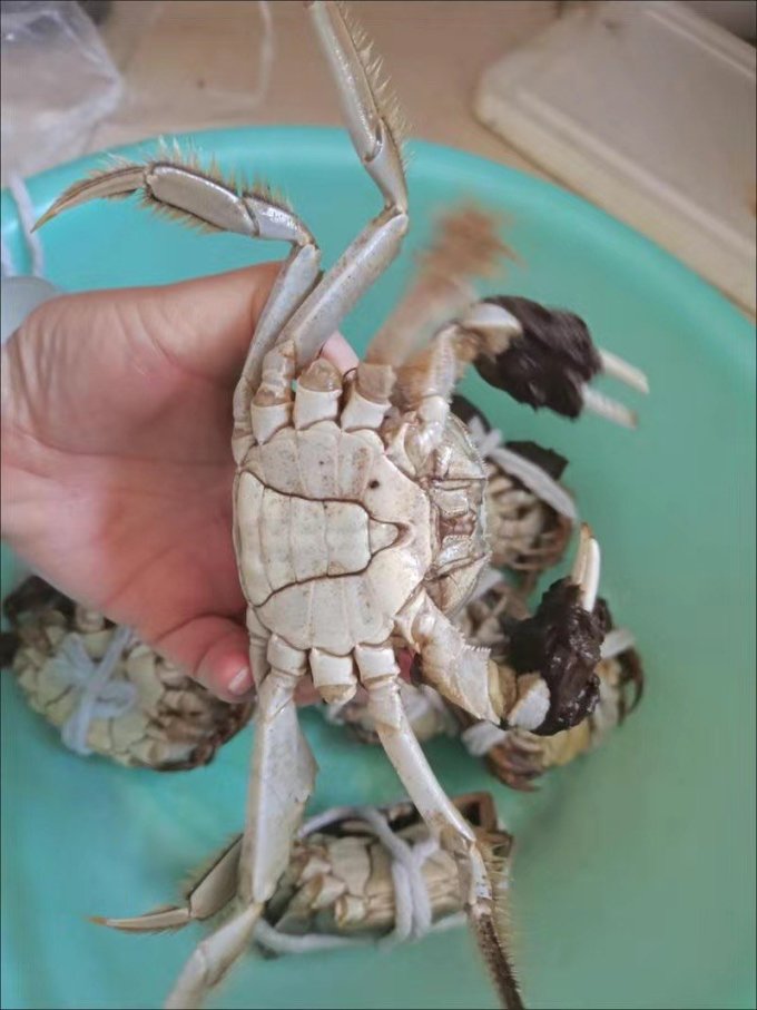 海鲜水产
