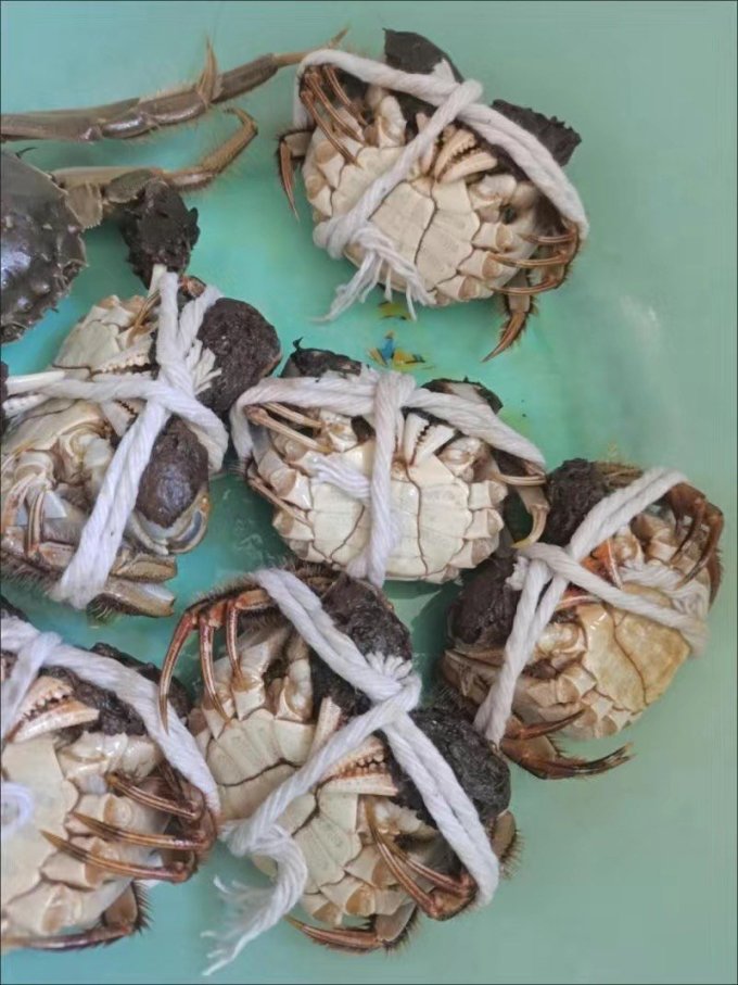 海鲜水产