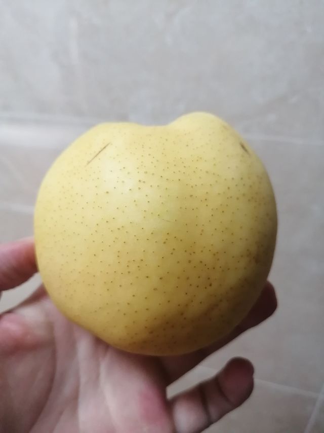 中秋团圆饭 | 皇冠梨