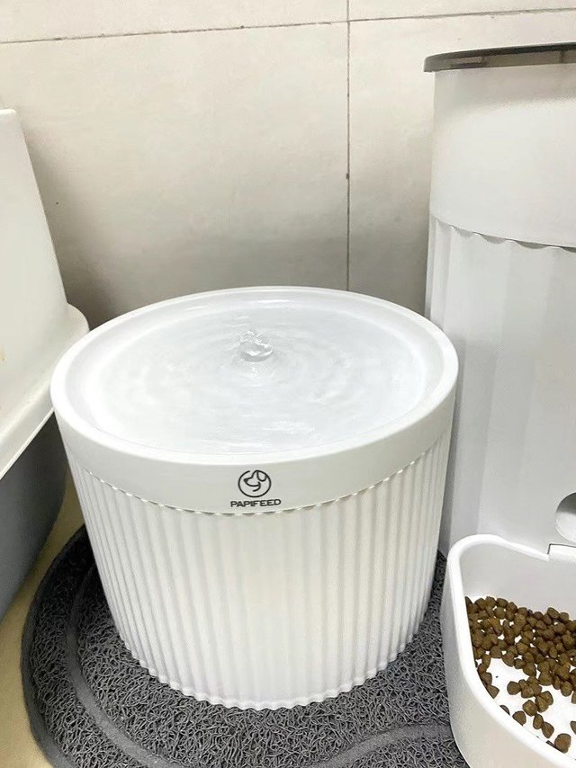 有了它 我终于可以出去玩了