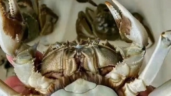 大闸蟹到底怎么吃更好
