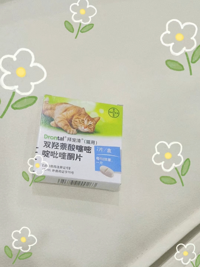 驱虫必看！！！幼猫体内驱虫到底怎么喂