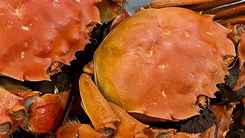 如何挑选优质的螃蟹？