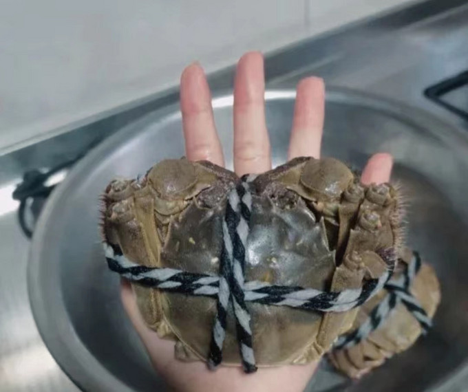 蟹太太海鲜水产