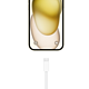 苹果官方电池再度涨价，iPhone 7-14 雨露均沾