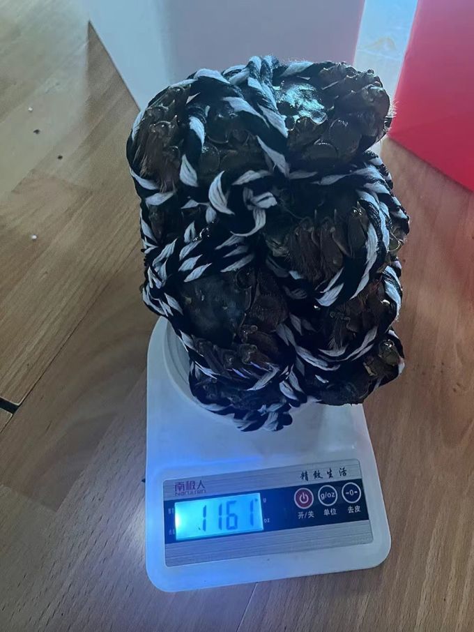 湖鲜阳澄蟹类