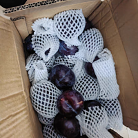 新鲜黑布林5斤李子大果水果脆李黑金刚恐龙蛋孕妇应当季3整箱包