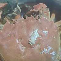 大闸蟹是中国传统美食之一，被誉为江南的“黄金”，因其肉质鲜美、味道醇厚而备受喜爱。