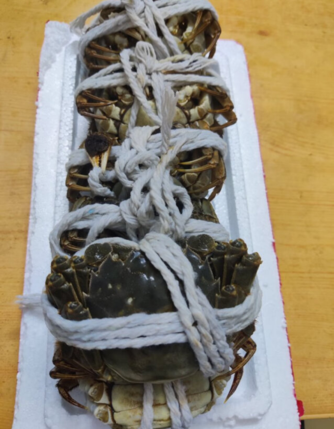 渔家师傅蟹类