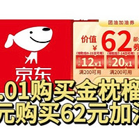 神车来了！京东0.01元撸金枕榴莲！还可以1元购买62元加油券！