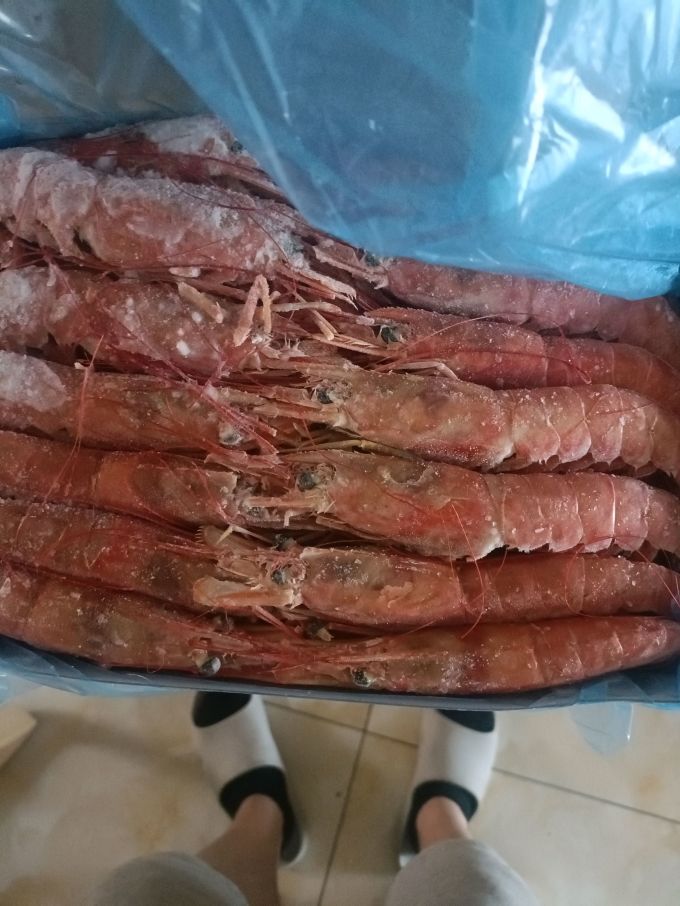 大洋世家虾类