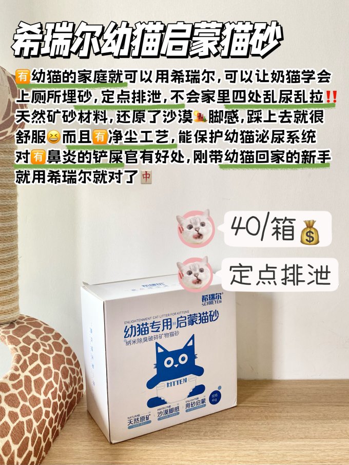 日用清洁