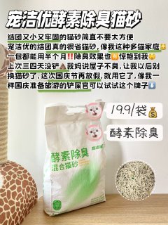 别滑走！更适合新手入门的除臭猫砂来了！