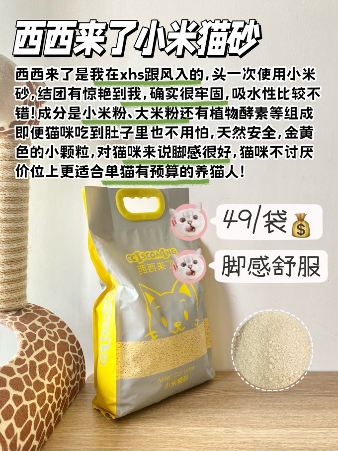 日用清洁