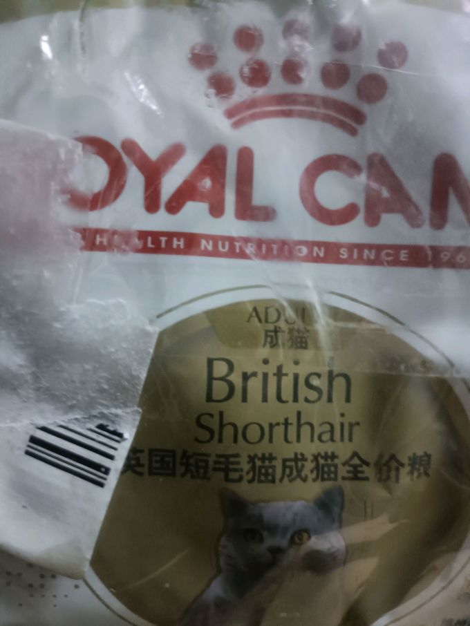 皇家猫咪干粮