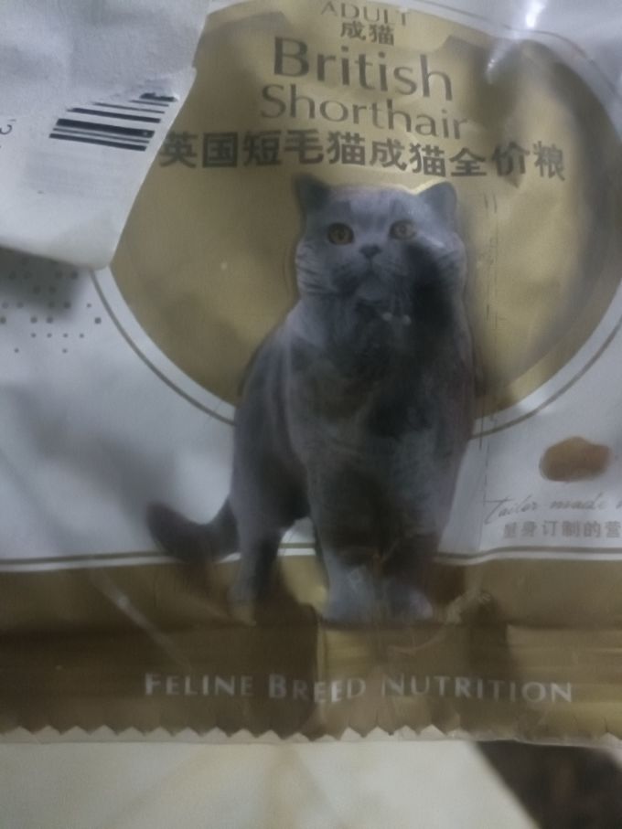 皇家猫咪干粮
