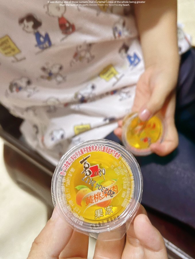 其他休闲零食