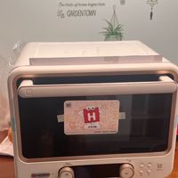 我的想了很久的海氏风炉电烤箱