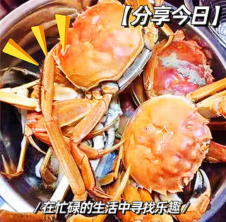 清蒸大闸蟹，简单的做法也很美味