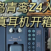 竹林鸟青鸾Z4入耳式高保真耳机开箱测评｜国风与工业风的碰撞，平价有线耳机自用分享！