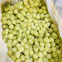吃葡萄不吐葡萄籽和葡萄皮的葡萄才是好葡萄！