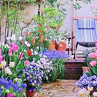 如何做才能让庭院四季皆有花可赏？