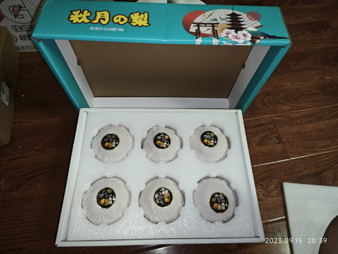 其他水果