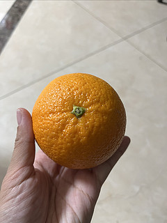 诚心诚意送橙子🍊