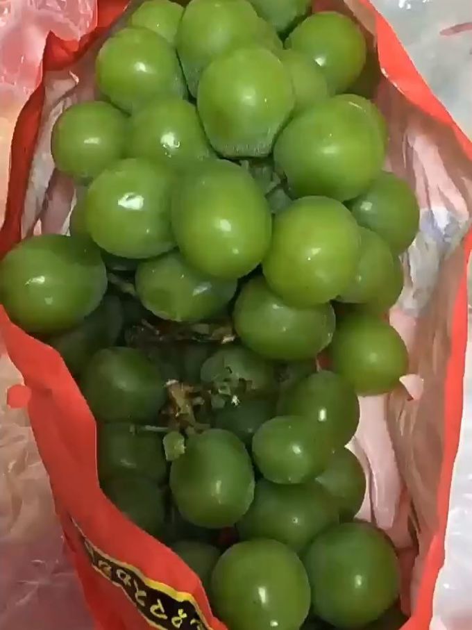 飞犇葡萄/提子