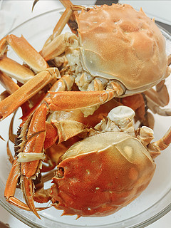 大闸蟹的美味，让你的味蕾无处躲避!