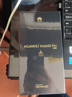 mate60Pro，人生若只如初见，何事秋风悲画扇…