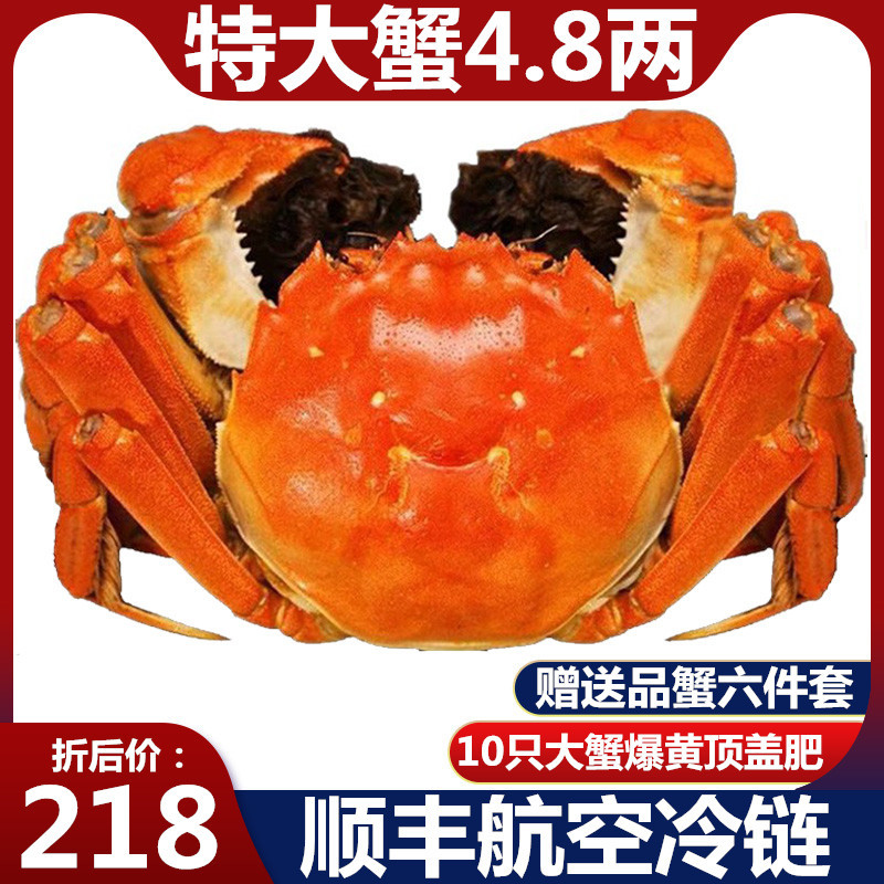 九月的大闸蟹绝对是你不容错过的美味！