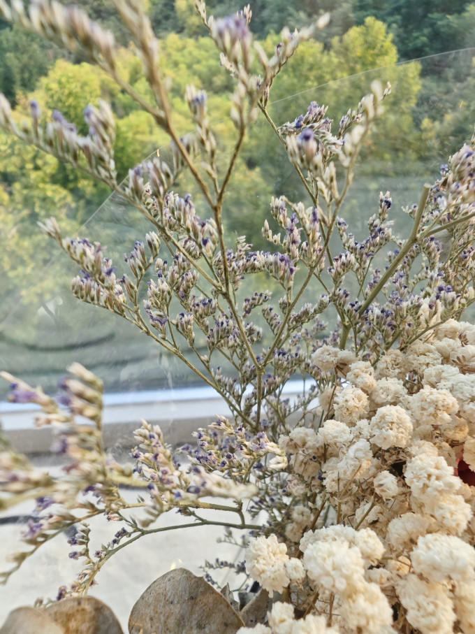 爱满鲜花绿植