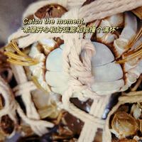 阳澄湖大闸蟹