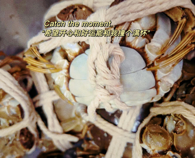 海鲜水产