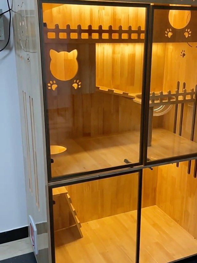 秋冬的猫咪小木屋