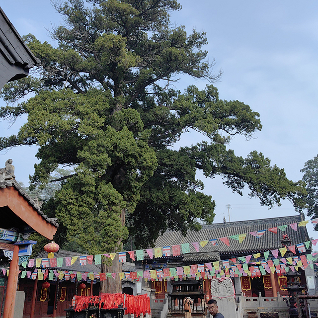 半月内再登冠山