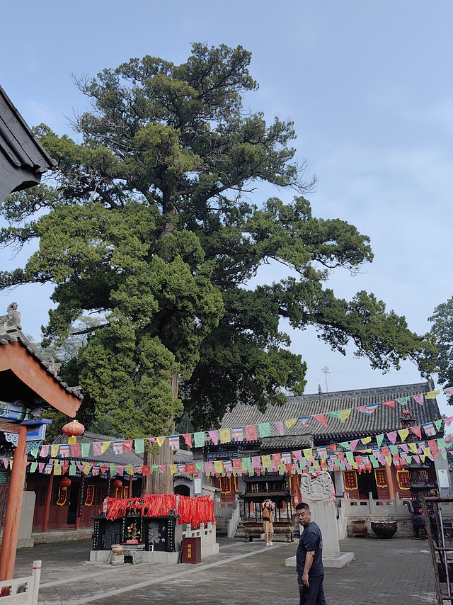 半月内再登冠山