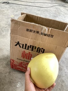 高山红柚