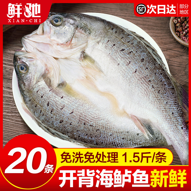 美食篇☞“红烧鲈鱼”