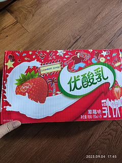 yili 伊利 优酸乳 草莓味 250ml*24盒